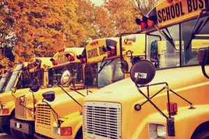 school bus safety tips