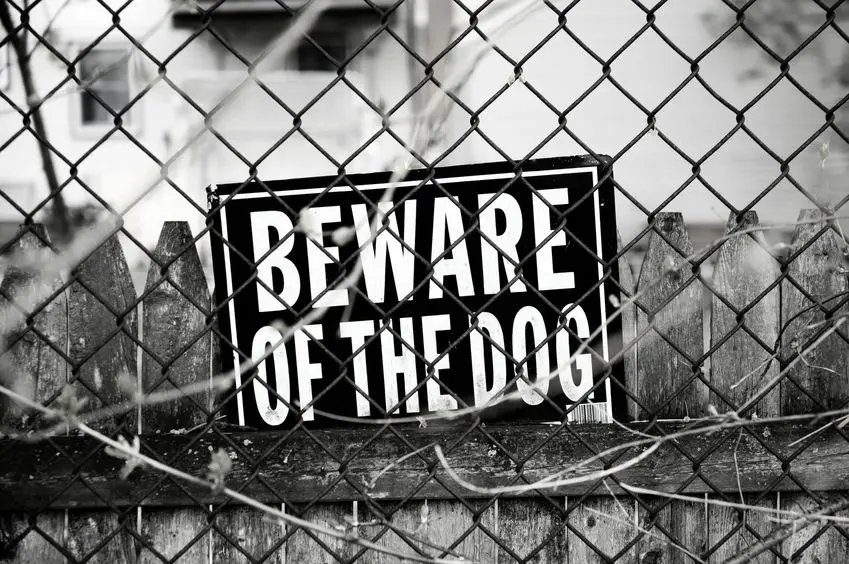 sign on chain fence saying beware of dog