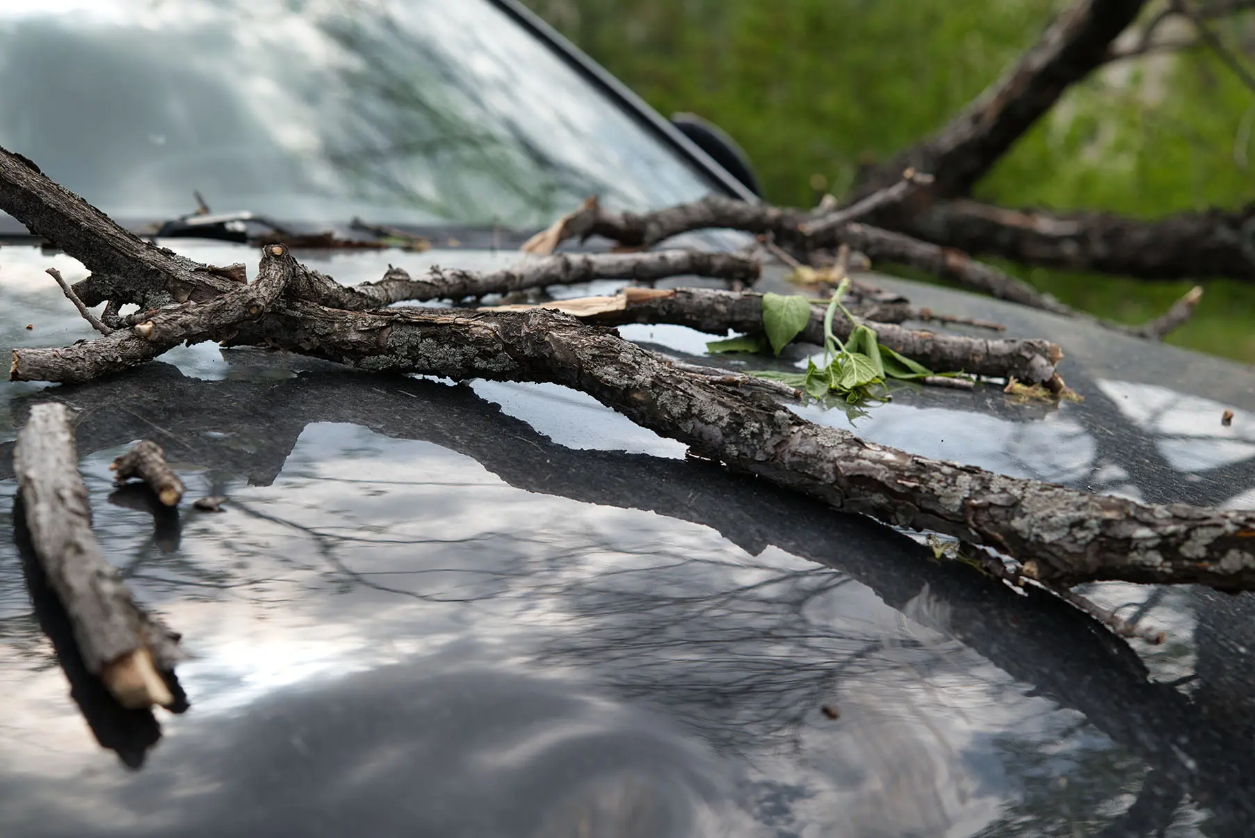 car accident involving wind