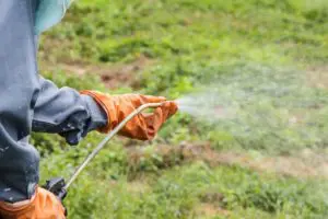 roundup cancer lawsuit