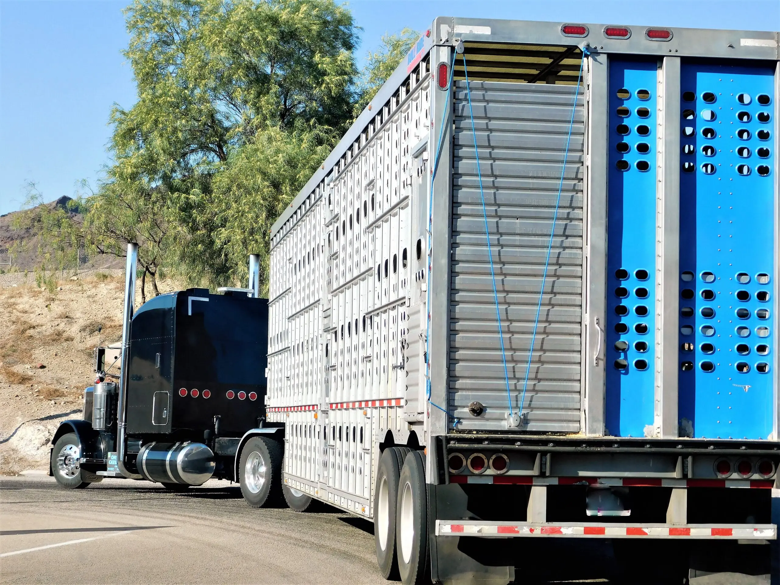 How to Choose a Truck Accident Lawyer