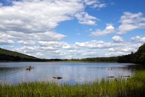 schuylkill county personal injury lawyers munley law
