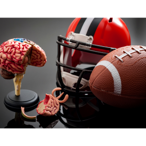 football helmet, football and a statute of a brain