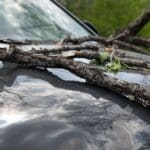 car accident involving wind