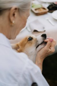 dog biting a woman's finger