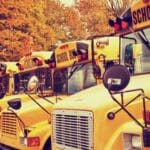 school bus safety tips